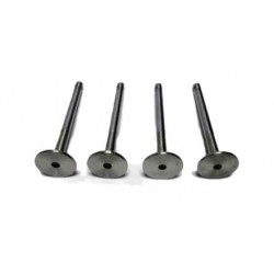 Lada kipufogószelep garnitúra